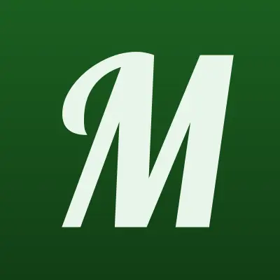 Mameto, интернет-магазин, лого-визитка