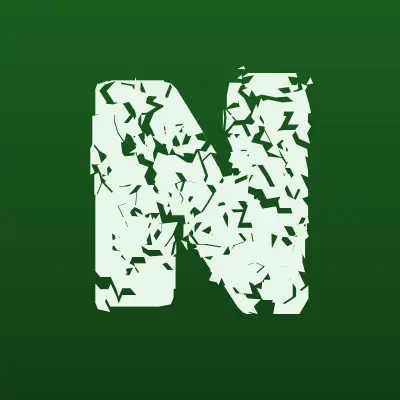 NА BIS FA­­MILY, студия современного танца и художественной гимнастики, лого-визитка